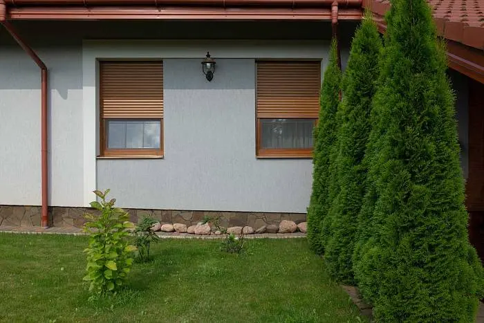 Роллеты в рассрочку на 6 месяцев без процентов Роллеты в рассрочку на 6 месяцев без процентов